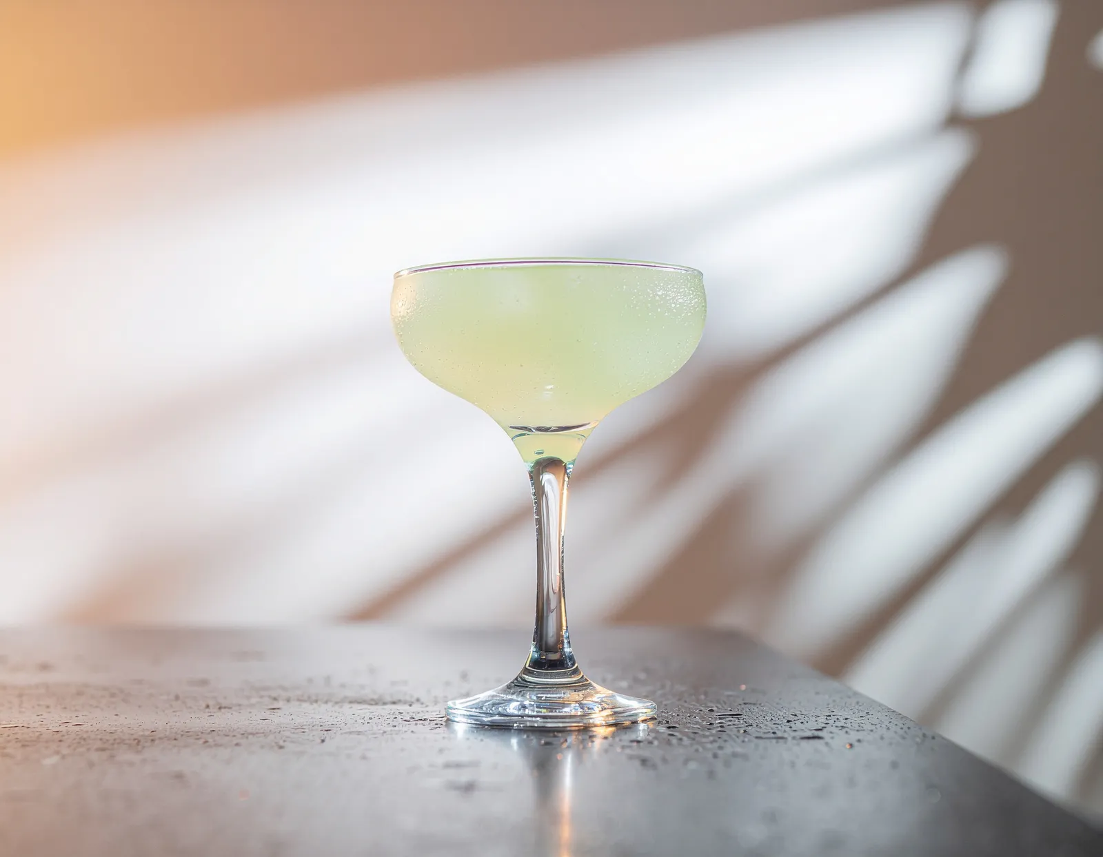 Frozen Daiquiri in Coupe