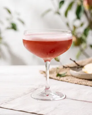Jack Rose cocktail