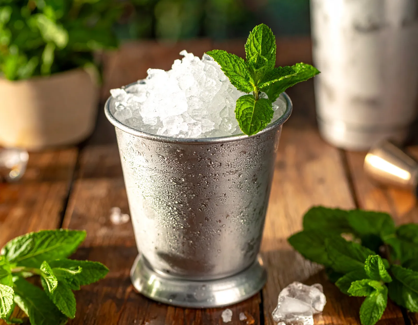 Mint Julep i julepkop